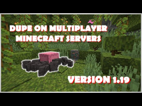 CatGirlJava - New Shulker Dupe for Minecraft 1.19 Multiplayer