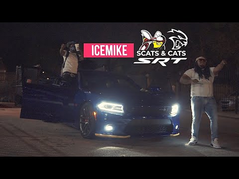 Icemike - "Scats And Cats" (Official Video) Dir. Yardiefilms