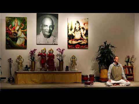 Fortgeschrittenes Pranayama mit Ravi - Yoga Vidya Ashram Bad Meinberg - Live 6:00 26.09.2021