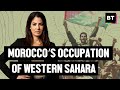 Western Sahara: The last African territory awaiting decolonization. Plus Algeria’s civil war & Libya