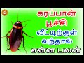 கரப்பான் பூச்சி வீட்டுக்கு வந்தால் எ