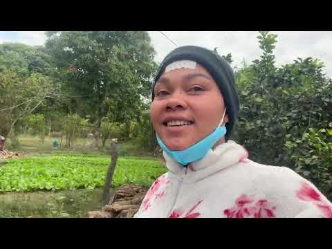 Today was harvest day! We finally picked the cauliflower we’ve been growing in the garden