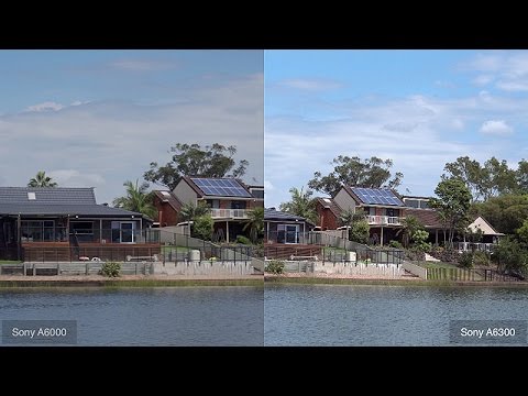 Sony A6000 vs Sony A6300 - Video Sharpness Test