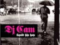 DJ Cam - Liquid Hip Hop