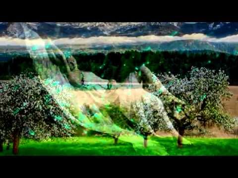 becixmat - Relax 1193 - Melody - mix