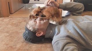Собака Встречает Владельца После Долгой Разлуки UHD 犬と人々 Funny Pets dogs meet their owners