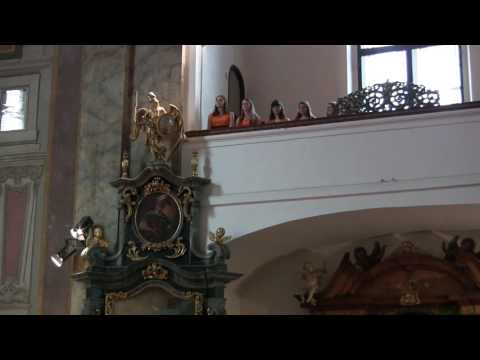 Iuventus, gaude! Franz Biebl: Ave Maria