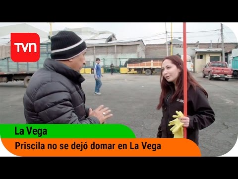 Priscila no se dejó domar en La Vega | La Vega - T1E7