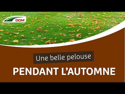 Engrais Gazon Robot DCM 20 Kg - 400 M² - Avec Bactéries Et Chaux