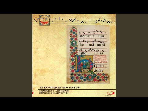 Dominica II Adventus: Alleluja