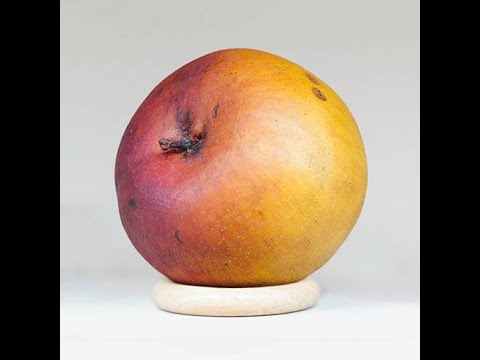 133 Self-Portraits elastic