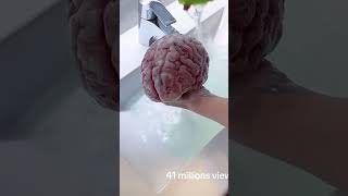 Been Brainwashed #bestyoutube #youtubeshorts #trending