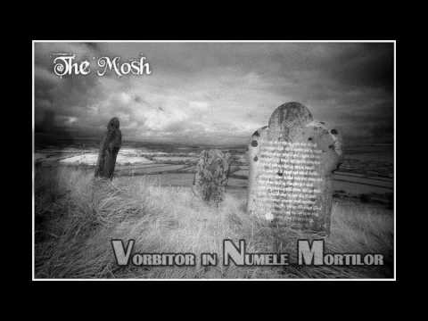 The Mosh - Caz Pierdut