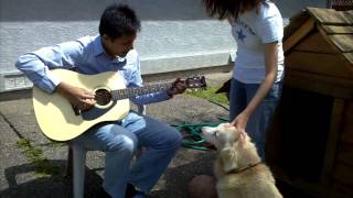 golden retriever song