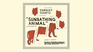 Parquet Courts "Sunbathing Animal"