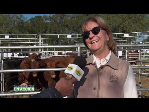 Remate 2021: Comentarios de Mónica Holzer