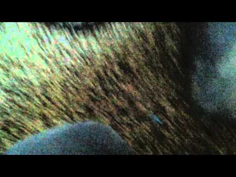 MINECRAFT XBOX:360 New update!