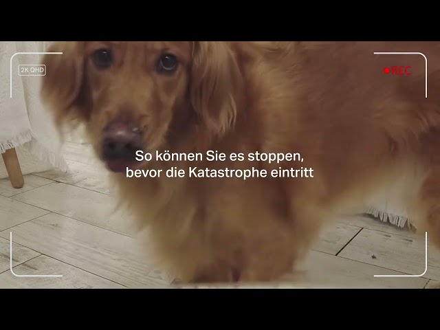 Video teaser for Tapo C125 Video DE