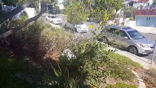 Are You Prepared For The Landscape You Have?