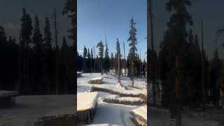 Snow world #snowman #kashmir #gulmarg #winter #snowfall #snowlife