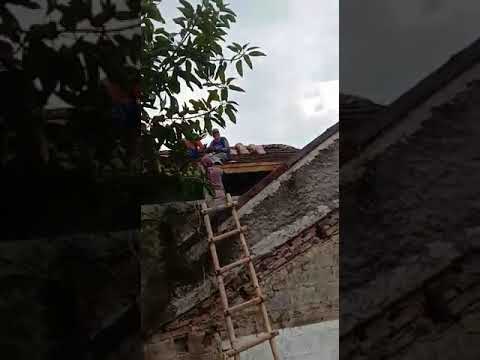 Cara Bongkar Atap Rumah Renovasi Perumnas