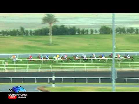 Race 6 - Tabloid Trophy