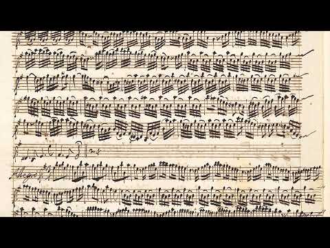 VIVALDI | Violin Concerto RV 275 in E minor | Vienna manuscript
