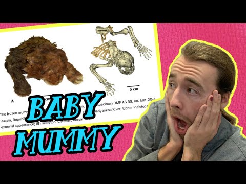 MUMMY SABER-TOOTH CAT BABY (feat. Warren Briggs) | Plus, Dinovember Day 9: Vallibonavenatrix