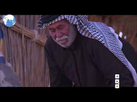 Arbaeen, The Journey of Passion _ A Tour through the History of the Arbaeen  WALK 2022