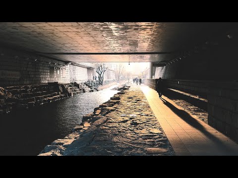 Белая звезда