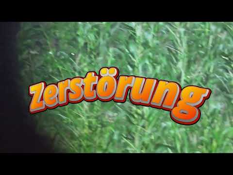 Schwarzwild im Mais ansprechen