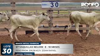 LOTE 30