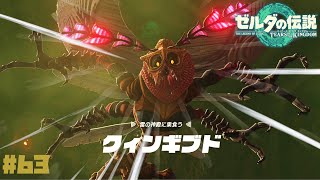 【ゼルダの伝説ティアーズオブザキングダム】雷の神殿に巣食うクィンギブド戦！ #63【ティアキン】