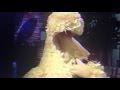 Big Bird Sleeping