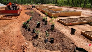 How to make the best garden soil with red clay.