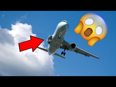 What Happens If An Aeroplane Loses Wing In Mid-Air?