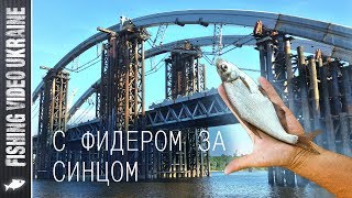 Форум под подольском рыбалка