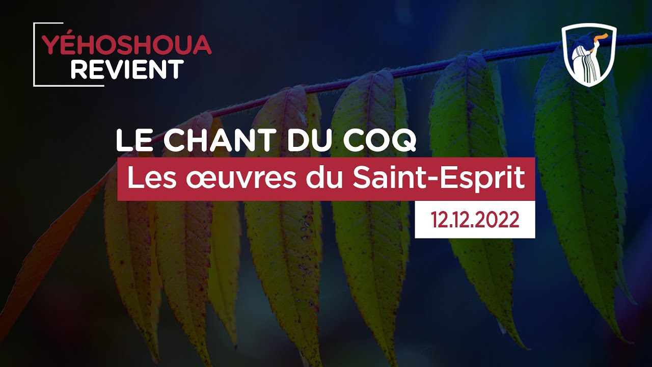 Thumbnail of video: Les œuvres du Saint-Esprit