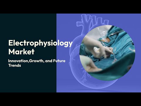 Electrophysiology Market 2024–2034: Innovation, Growth & Future Trends
