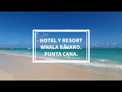 Videos del Whala Bávaro 4★ en Punta Cana, República DominicanaVerPrecios19CerrarConsulta por Whatsapp 🇦🇷BookingTripadvisorExpediaAgodaTravelocityOrbitzPricelineTripSkyscannerDespegarKayakHotelesBestdayDestiniaTrivagoTurismocityAlmundoLastminuteTui