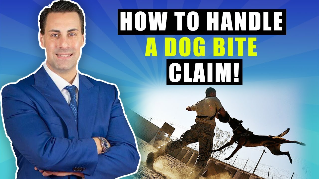 How To Handle A Dog Bite Claim!