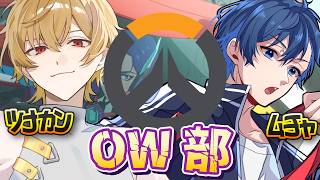 【ゲーム配信】少しおヴぁぶ【OW部】