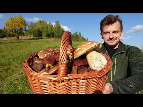 GRZYBOBRANIE wśród piękna jesieni