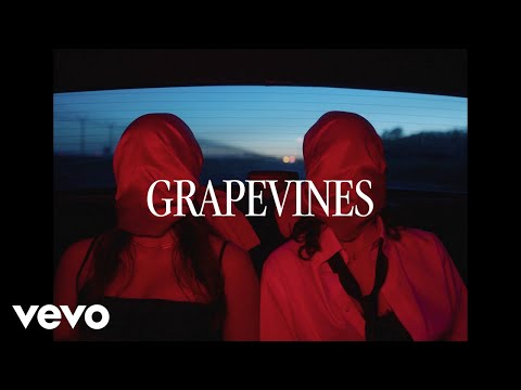 Miniatura de Grapevines