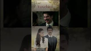 Download lagu I Don't Care About Anyone But You | Lovebird #shorts mp3