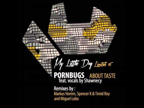 Pornbugs feat. vocals by Shawnecy - About Taste (Miguel Lobo Remix)