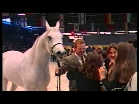 Salon du Cheval 2001 Hadidi Champion