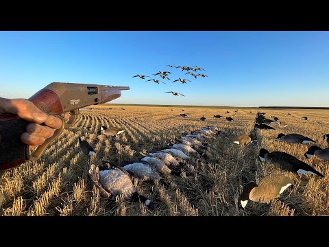 My Most INSANE Solo Goose Hunt Ever! (LIMITED OUT)