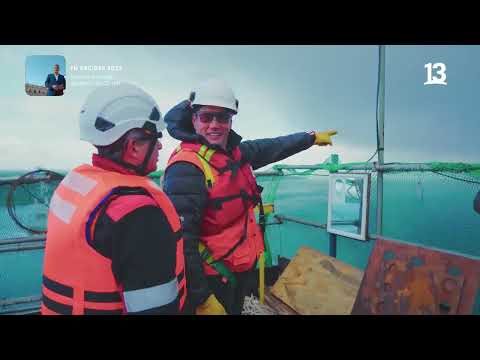 Pancho va a conocer el puente Chacao en Pargua | Lugares que Hablan