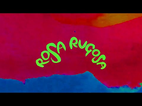 Olof Dreijer - 'Rosa Rugosa' (Official Visualiser) [Hessle Audio] | * Warning: Flashing Imagery *